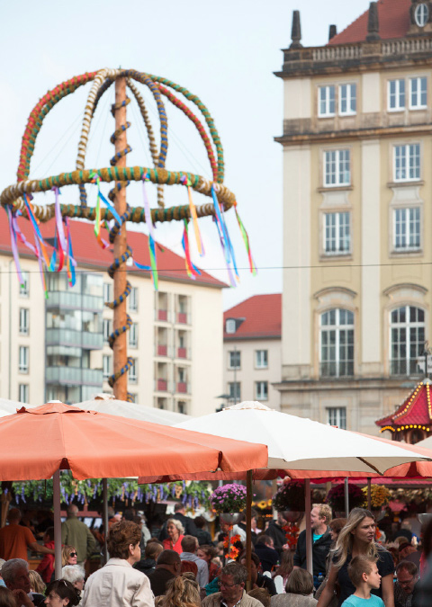 Schönes Dresden: neue Mietwohnungen in der Innenstadt